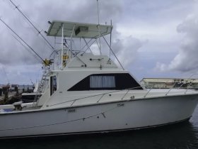 A side view of a sleek yacht docked at the marina, showcasing its elegant design and fishing equipment, perfect for a day on the water.