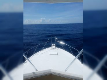 Jeliray Charter & Tours