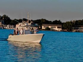 A group of friends enjoys a fishing trip on a boat, showcasing the excitement of a day on the water.
