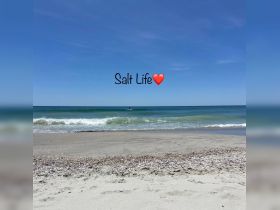 A serene beach scene captures the essence of 'Salt Life' with a paddleboarder gliding over gentle waves, perfect for water sports enthusiasts.