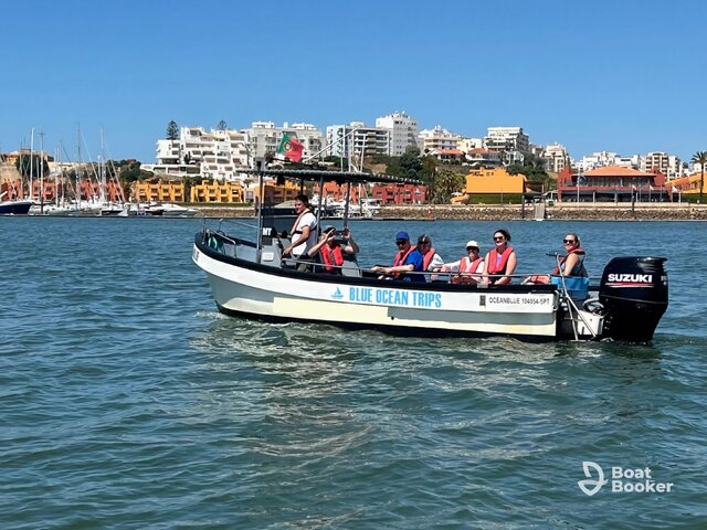 Listing image 1081397
