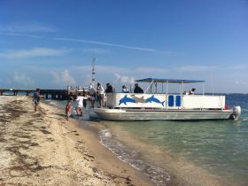 A lively group of people, including a child, gathers on the beach near a boat adorned with dolphin graphics, creating a memorable experience by the shore.