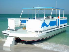 A pristine catamaran docked on a sandy beach, showcasing its vibrant blue and white design — perfect for day trips and water adventures.