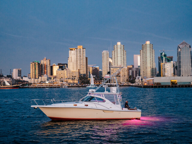 Listing image 1081057