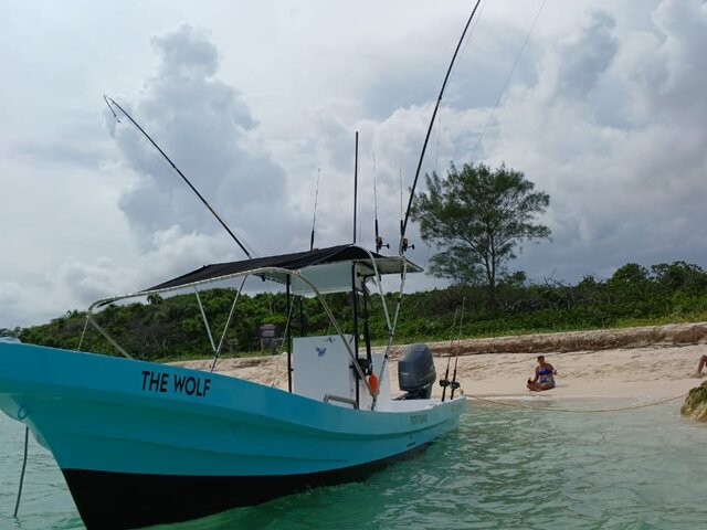 Listing image 1081154