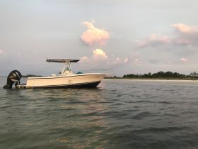 A sleek speedboat anchored in calm waters, showcasing its elegant design against a backdrop of soft clouds and a sandy shoreline.
