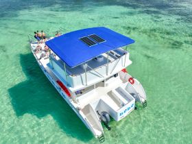 Aerial view of a lively group enjoying a day on a boat in clear turquoise waters, perfect for summer adventures and social gatherings.
