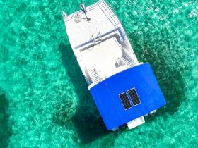 Aerial view of a boat with a blue canopy cruising over crystal-clear turquoise waters, showcasing the vibrant marine environment below.