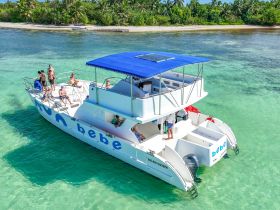 A lively group enjoys a day on a catamaran, soaking up the sun and having fun in the clear waters — perfect for a memorable boating experience.