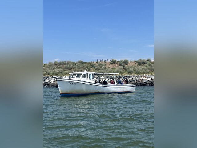 Listing image 1081429