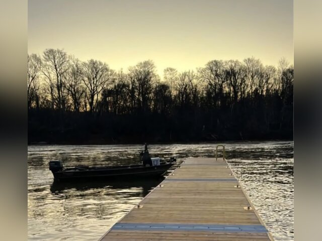Listing image 1081817