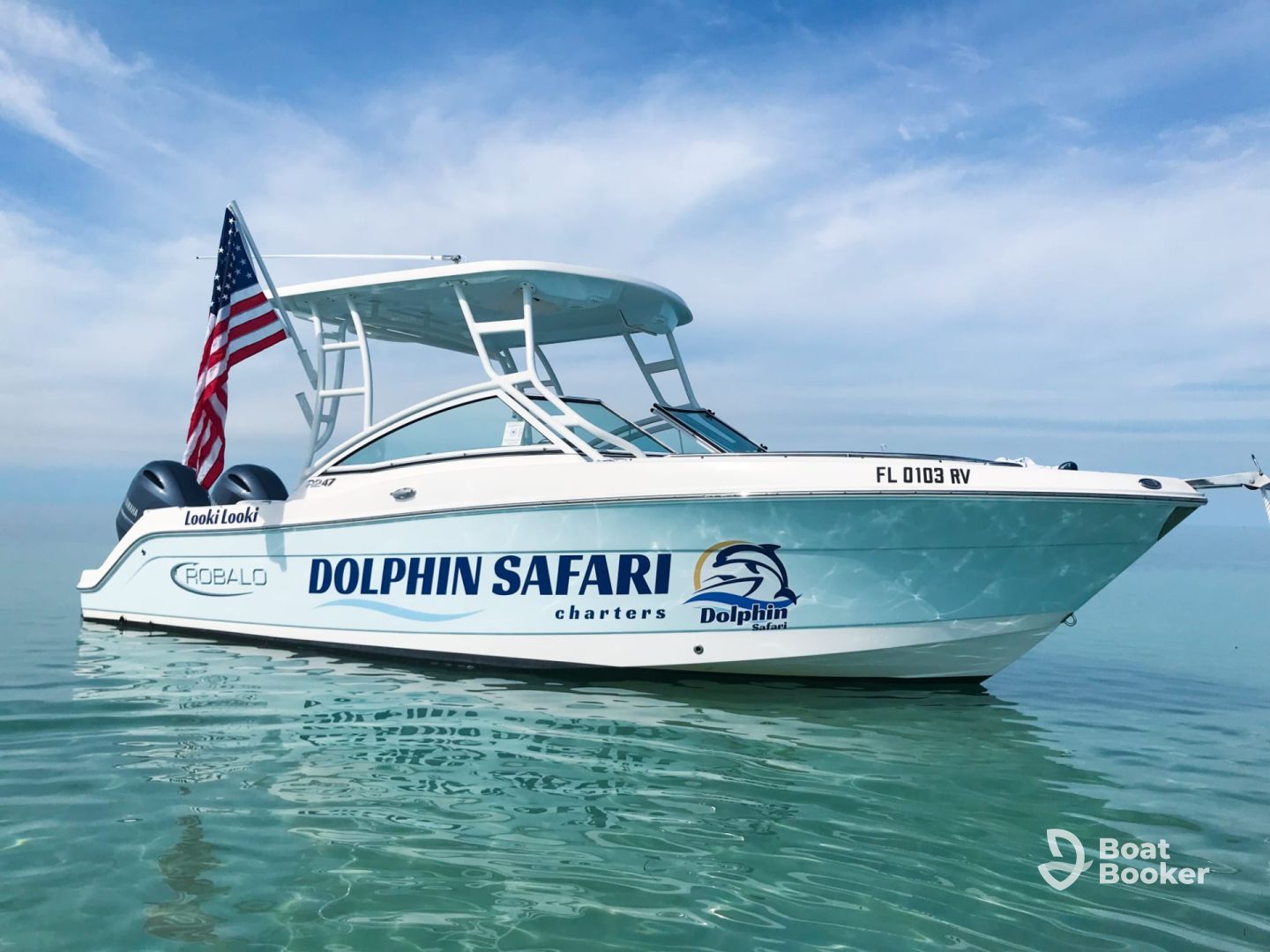 Dolphin Safari Charters – Vitamin Sea