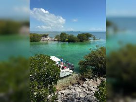 A group enjoys a sunny day by the mangroves, with a boat anchored in clear waters — perfect for swimming and exploring the beautiful coastline.