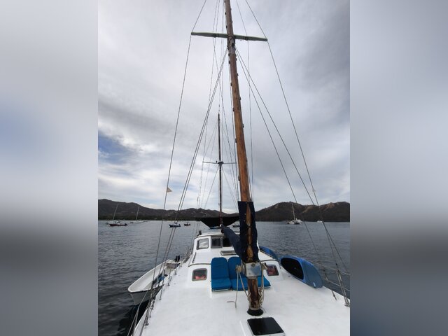 Listing image 1081899