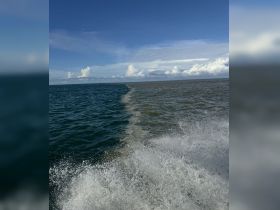 Charter Image