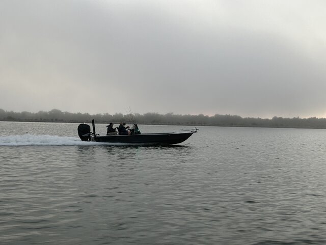 Listing image 1081614