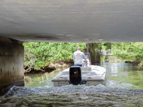 A boat navigates through a narrow waterway under a bridge, showcasing the beauty of nature and exploration on the water.