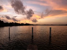 A serene sunset view over calm waters, with a silhouette of a bird flying across the sky. Ideal for capturing the beauty of nature.