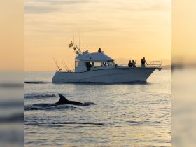 Charter Image