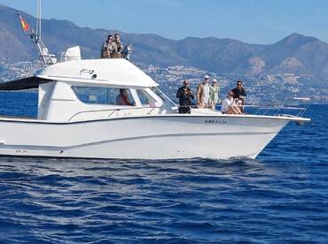 Private Dolphin Watching Trip