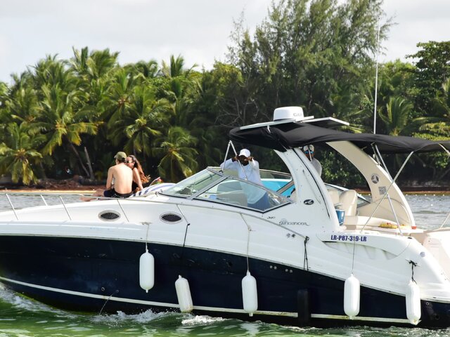 Listing image 1127303