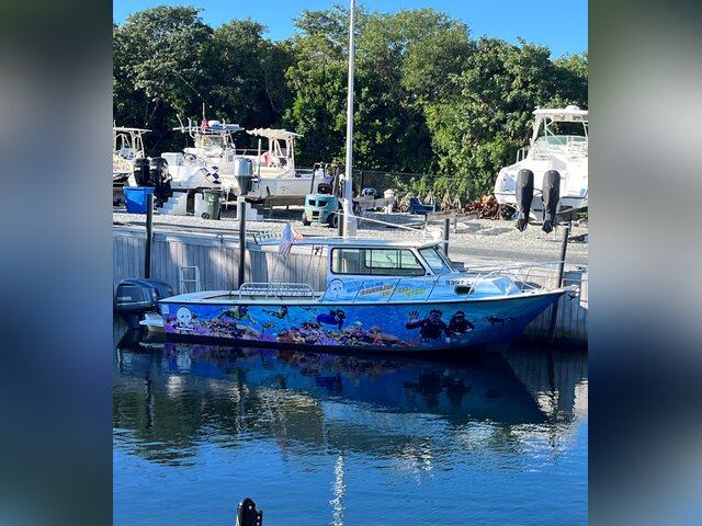 Listing image 1082166