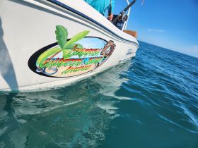 A close-up view of a boat's side featuring its vibrant name and logo, showcasing the vessel's design against the clear blue waters.