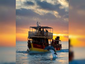 A lively scene as a dolphin leaps beside the boat 'Sandra' at sunset, capturing the joy of a memorable boat trip with friends.