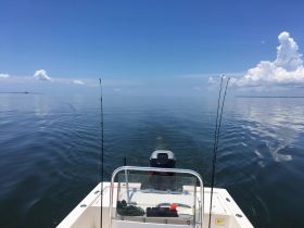 A serene view from the back of a center console boat cruising on calm waters under a clear blue sky, perfect for fishing adventures.