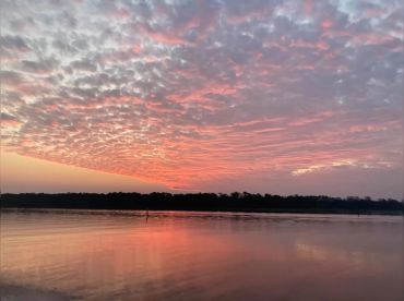 Middle Bay Fishing Charters