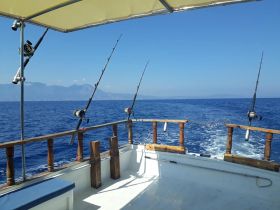 Charter Image
