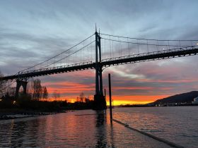 A stunning sunset view featuring a bridge silhouetted against vibrant skies, reflecting beautifully on the water — a perfect backdrop for evening boat trips.