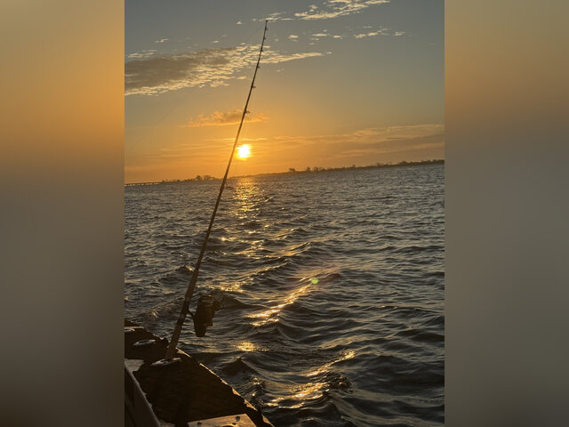 Listing image 1117479