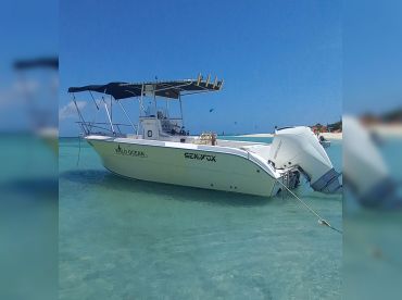Ocean Encounters Aruba
