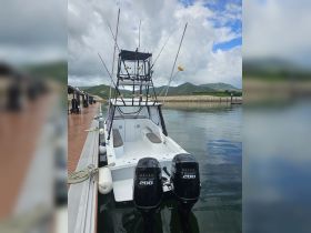A sleek fishing boat docked and ready for adventure, showcasing its powerful twin engines and fishing gear setup against a scenic backdrop.
