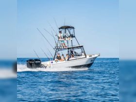 A group enjoys a thrilling fishing trip aboard a powerboat, showcasing the excitement of on-water activities in the open sea.