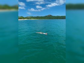 A person enjoys a relaxing swim in the clear turquoise waters, surrounded by a beautiful beach and lush greenery — a perfect scene for a tropical getaway.
