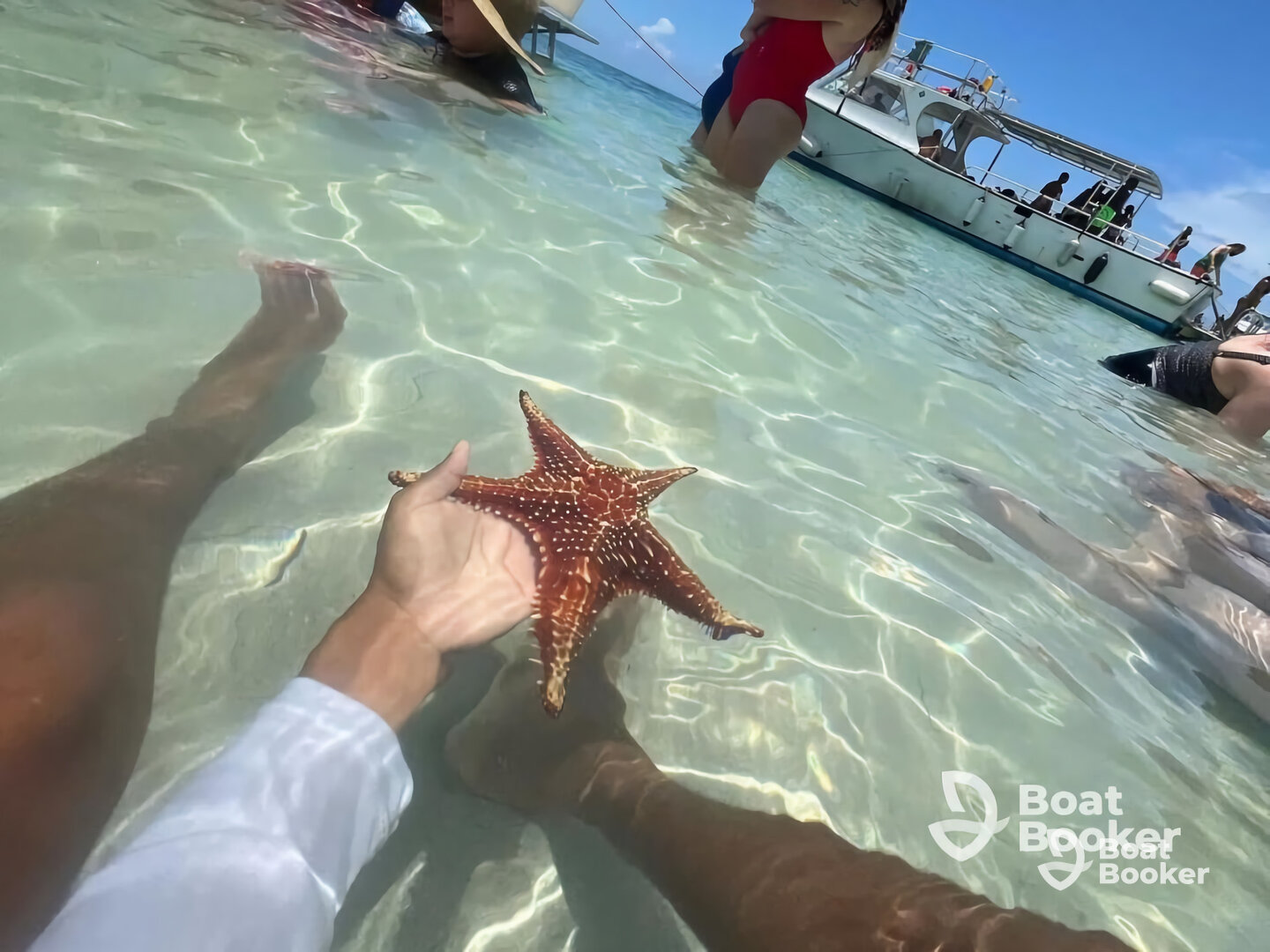 Playtime Charters
