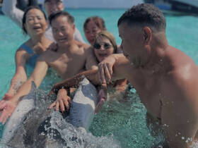 A joyful group interacts with dolphins in shallow waters, capturing a memorable wildlife experience that showcases the beauty of marine life.