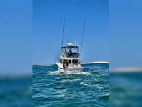 A speedboat named 'Nauti Muse' navigates through clear waters, showcasing its sleek design and active cruising. Perfect for fishing trips or leisure outings.