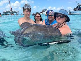 A group of people interacts with a stingray in shallow turquoise waters, showcasing a unique wildlife experience perfect for adventure seekers.