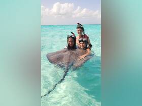 A family enjoys a memorable encounter swimming with a stingray in crystal-clear waters, showcasing the beauty of marine wildlife interactions.