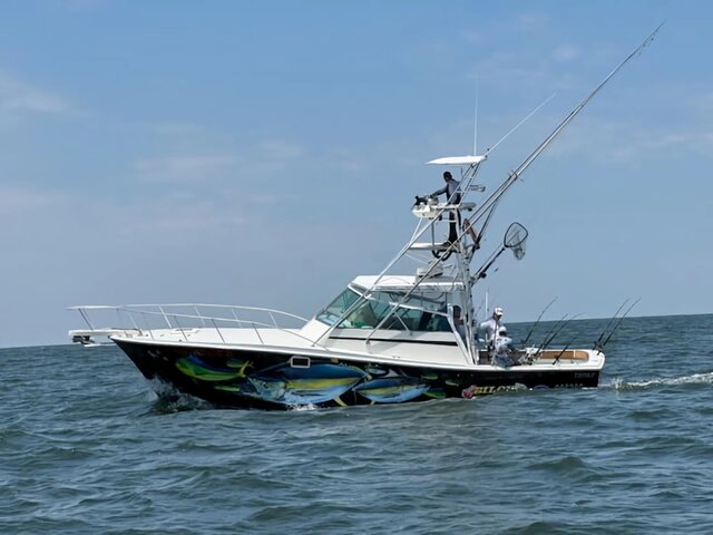 Listing image 1083564
