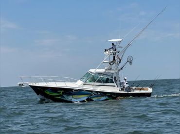 Biloxi Bluewater Charters