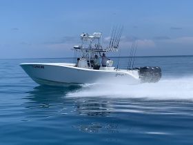 A speedboat glides across calm waters, showcasing an exciting day on the water with anglers ready for a fishing adventure.
