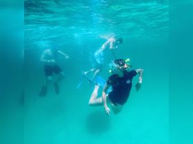 A group of snorkelers explores the vibrant underwater world, showcasing the excitement of marine adventures — perfect for family outings or group excursions.