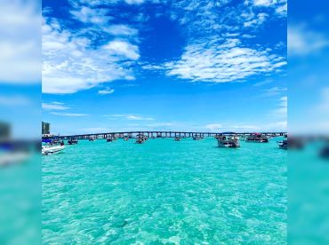 Lets Go Crab Island Charters