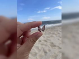 A close-up of a shell held in hand against a beach backdrop, capturing a moment of beachcombing.