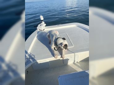 Tall Tails Charters