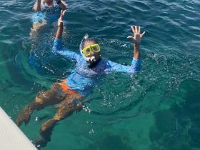 A snorkeler enjoys the vibrant underwater world, showcasing the excitement of snorkeling adventures in crystal-clear waters.